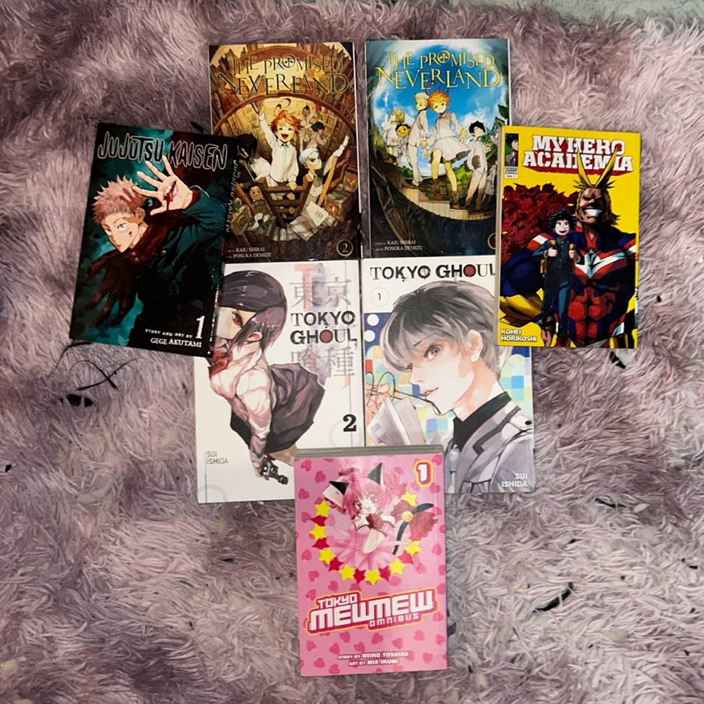 Manga lot